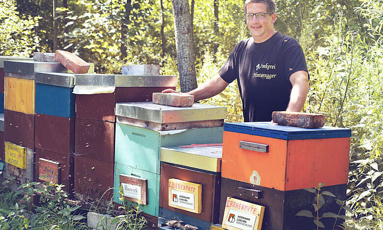 Zaruba ist Bienenpate – Bienen brauchen Unterstützung